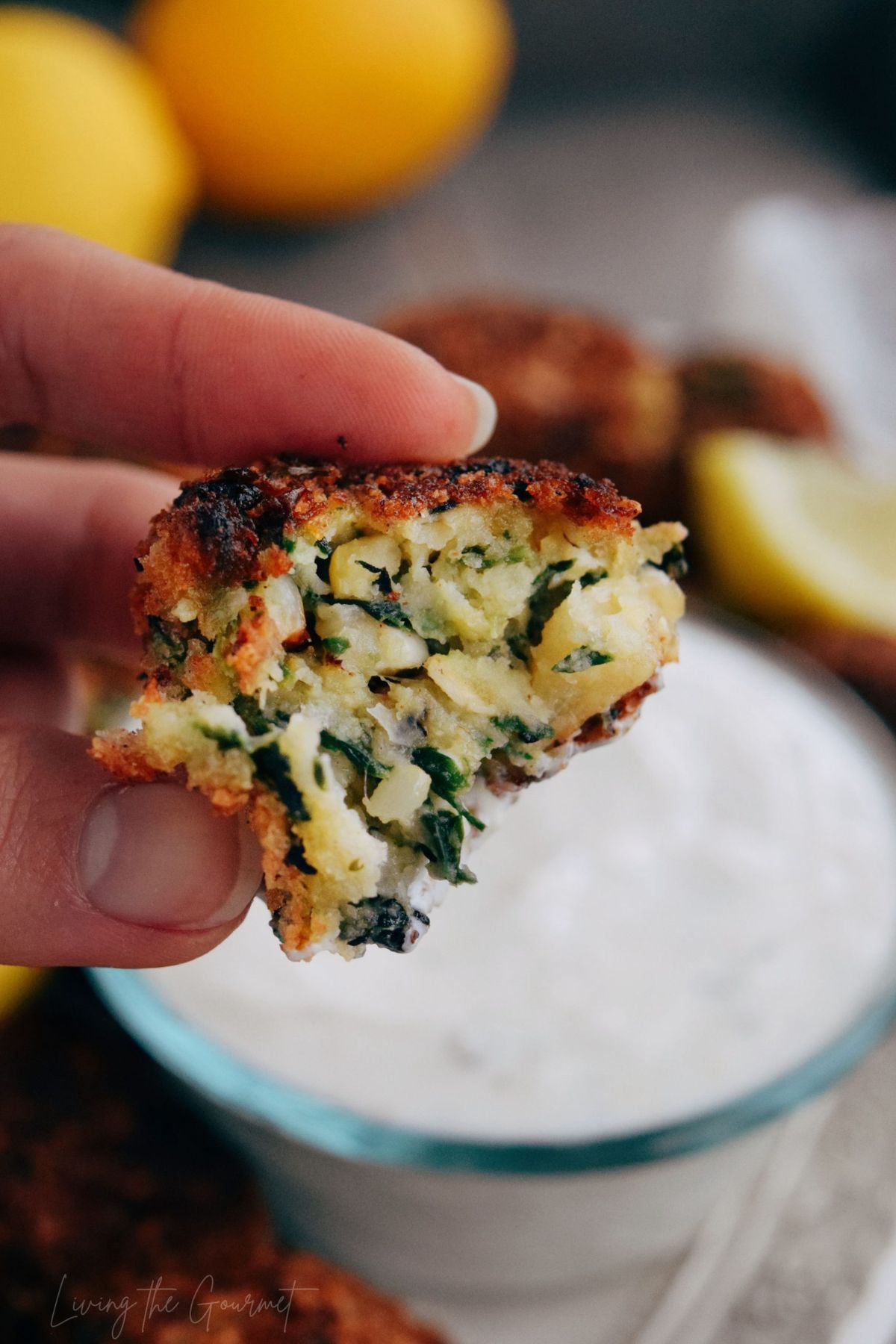 You are currently viewing How to Reheat Falafel – Best Way to Keep It Crispy